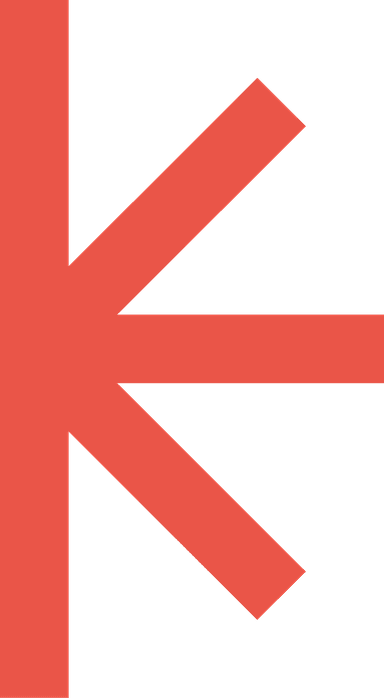 Vector Decoration